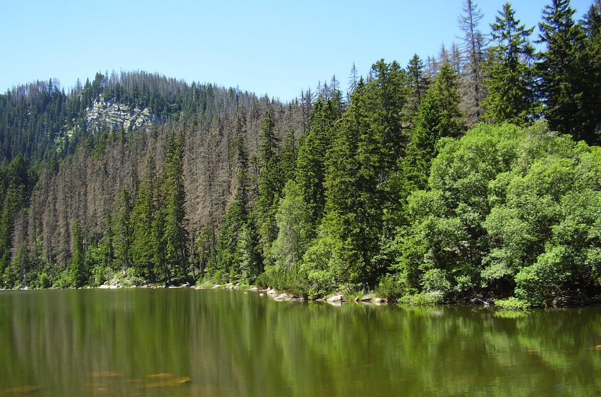 Plešné jezero pěšky